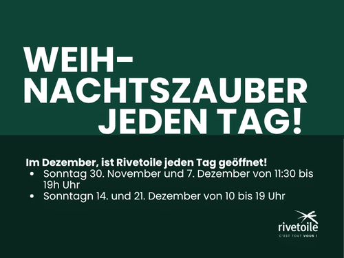 🎁WEIHNACHSZAUBER JEDEN TAG!
